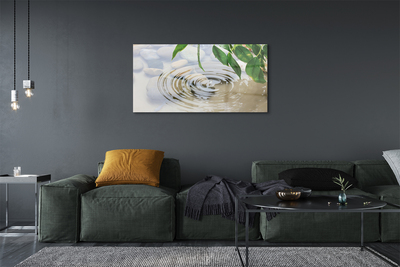 Pintura acrílica Respingo de gota d'água