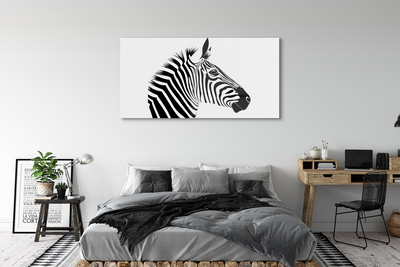 Quadro acrílico Ilustração de zebra