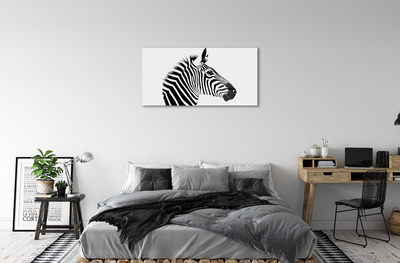 Quadro acrílico Ilustração de zebra