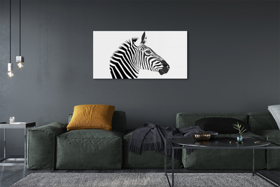 Quadro acrílico Ilustração de zebra