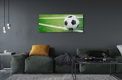 Quadro acrílico Bola de gramado