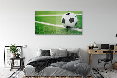 Quadro acrílico Bola de gramado