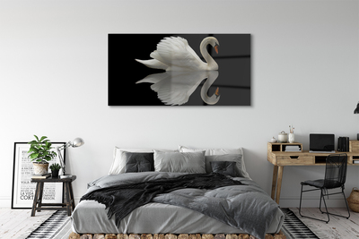 Pintura acrílica Cisne à noite
