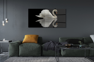 Pintura acrílica Cisne à noite