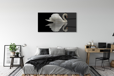 Pintura acrílica Cisne à noite