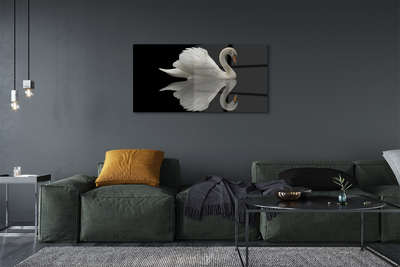 Pintura acrílica Cisne à noite