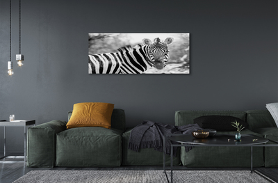 Pintura acrílica Zebra retrô