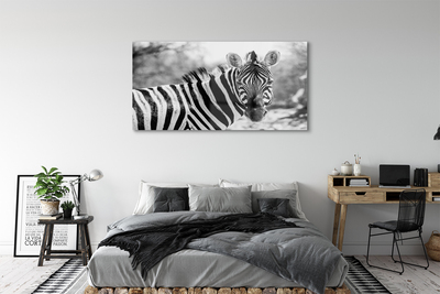 Pintura acrílica Zebra retrô