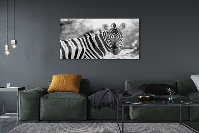 Pintura acrílica Zebra retrô