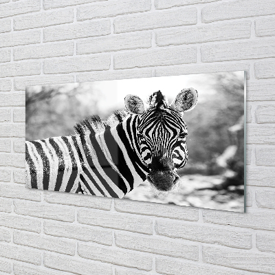 Pintura acrílica Zebra retrô