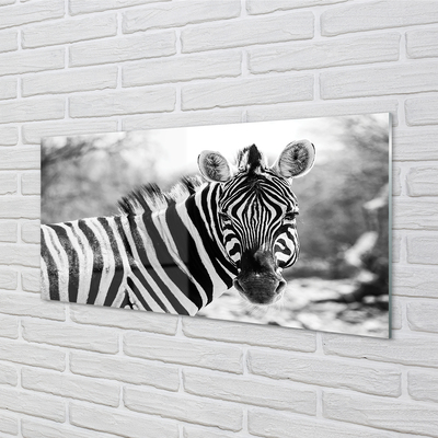 Pintura acrílica Zebra retrô