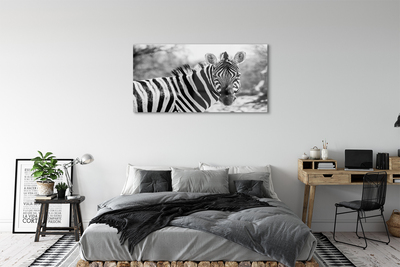 Pintura acrílica Zebra retrô
