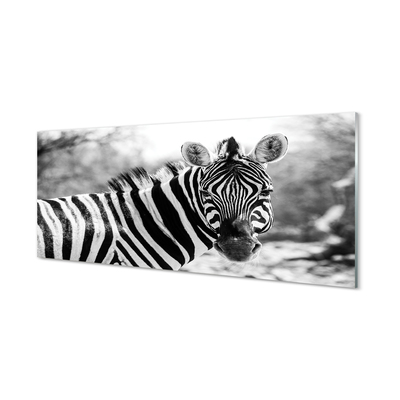 Pintura acrílica Zebra retrô