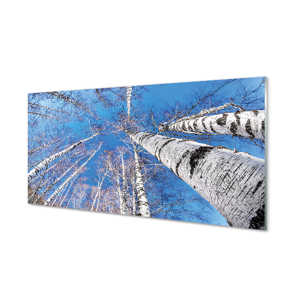 Pintura acrílica Céu de bétula