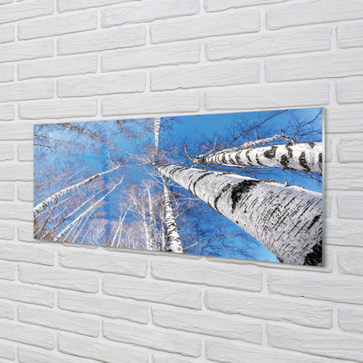 Pintura acrílica Céu de bétula