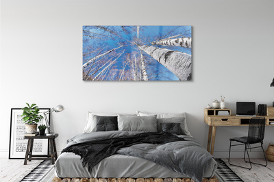 Pintura acrílica Céu de bétula