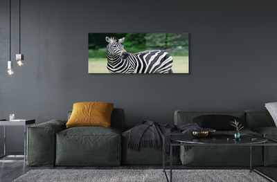Quadro acrílico Campo de zebras