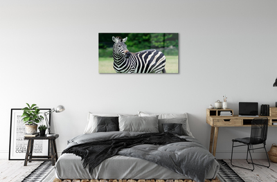 Quadro acrílico Campo de zebras