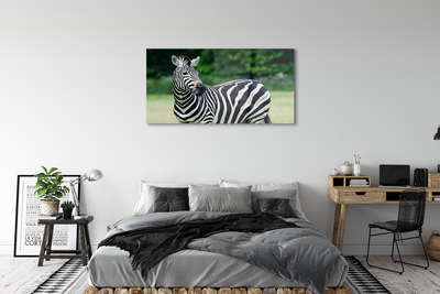 Quadro acrílico Campo de zebras