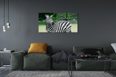 Quadro acrílico Campo de zebras