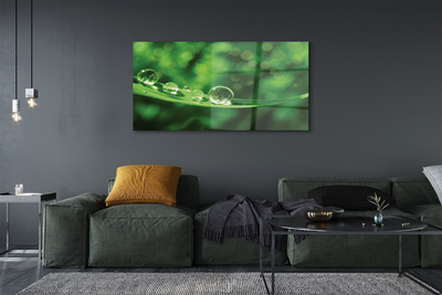 Pintura acrílica Macro gotas de água