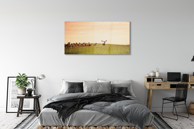 Quadro acrílico Manada de veados ao nascer do sol no campo