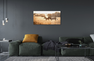 Quadro acrílico Pôr do sol no campo de zebras