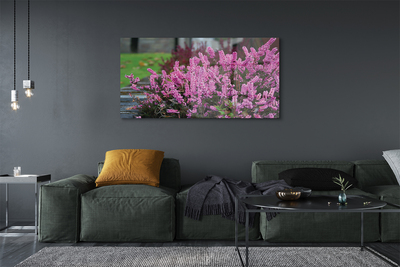 Pintura acrílica Mesclado