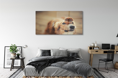 Quadro acrílico Bolinho de cachorro