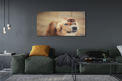 Quadro acrílico Bolinho de cachorro