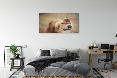 Quadro acrílico Bolinho de cachorro