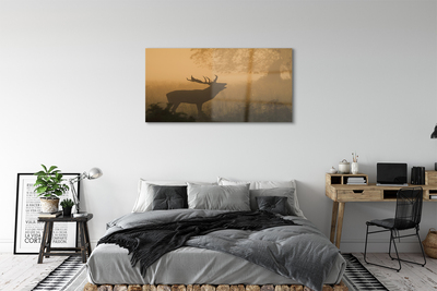 Quadro acrílico Nascer do sol de veado