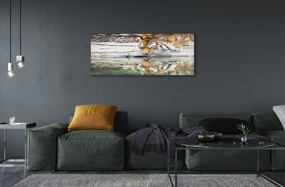 Quadro acrílico Tigre Bebendo