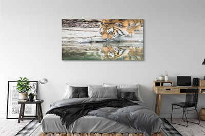 Quadro acrílico Tigre Bebendo