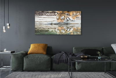 Quadro acrílico Tigre Bebendo