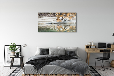 Quadro acrílico Tigre Bebendo