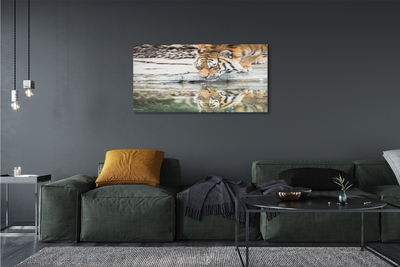 Quadro acrílico Tigre Bebendo