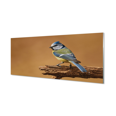 Pintura acrílica Pássaro