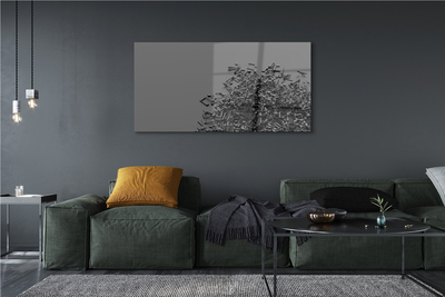 Pintura acrílica Notas