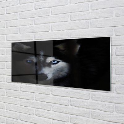 Quadro acrílico Olhos de lobo