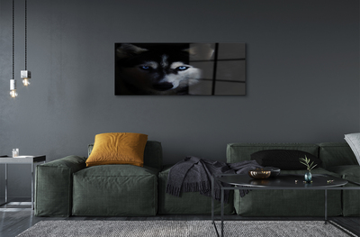 Quadro acrílico Olhos de lobo