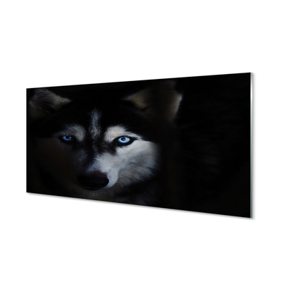 Quadro acrílico Olhos de lobo