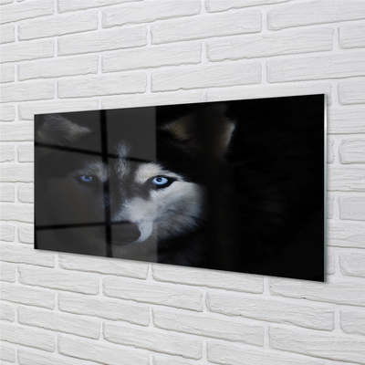 Quadro acrílico Olhos de lobo