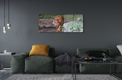 Pintura acrílica Floresta do Tigre