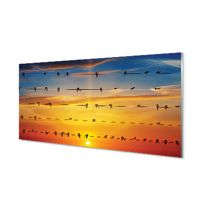 Quadro acrílico Pássaros em cordas ao pôr do sol