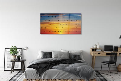 Quadro acrílico Pássaros em cordas ao pôr do sol