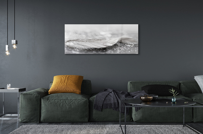 Quadro acrílico Macro de gotas de penas