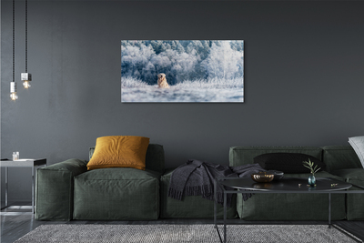 Quadro acrílico Dog Mountain Winter