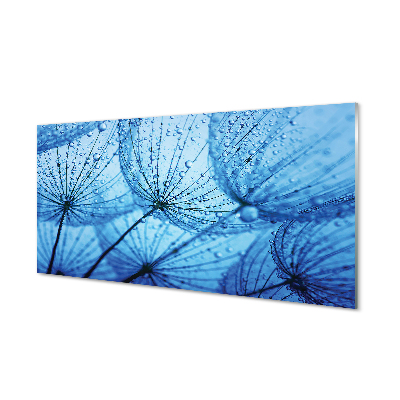 Pintura acrílica Macro de gotas de dente-de-leão