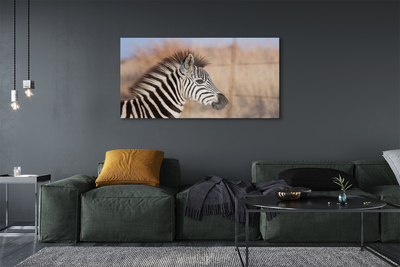 Pintura acrílica Costelas